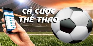 Sảnh Thể Thao Luck8 Cá Cược Đổi Thưởng Xanh Chín 2025